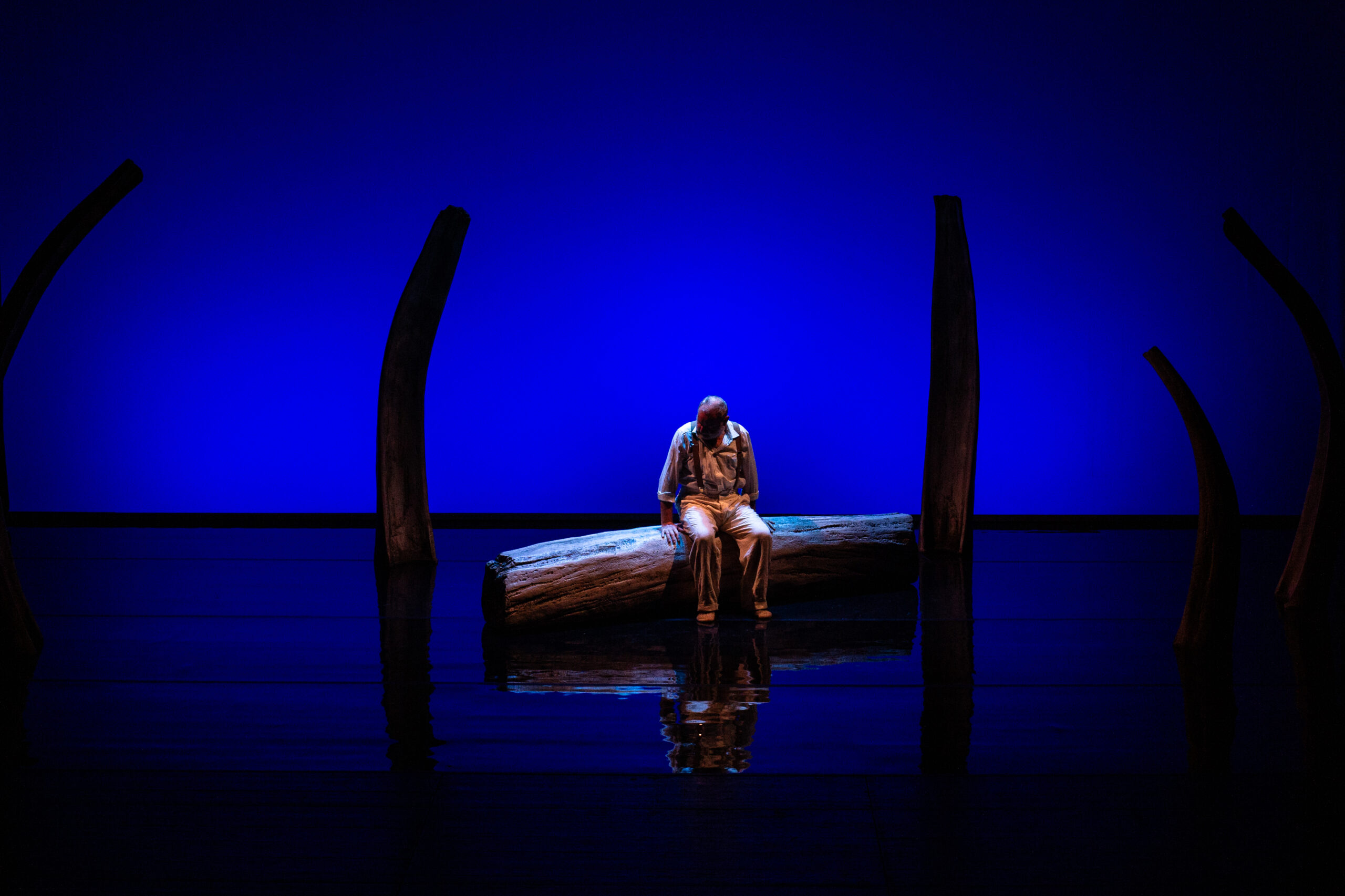 11.O3.2O27<br>Teatro la Ribalta-Kunst der Vielfalt<br>PINOCCHIO NEL VENTRE DELLA BALENA <br>