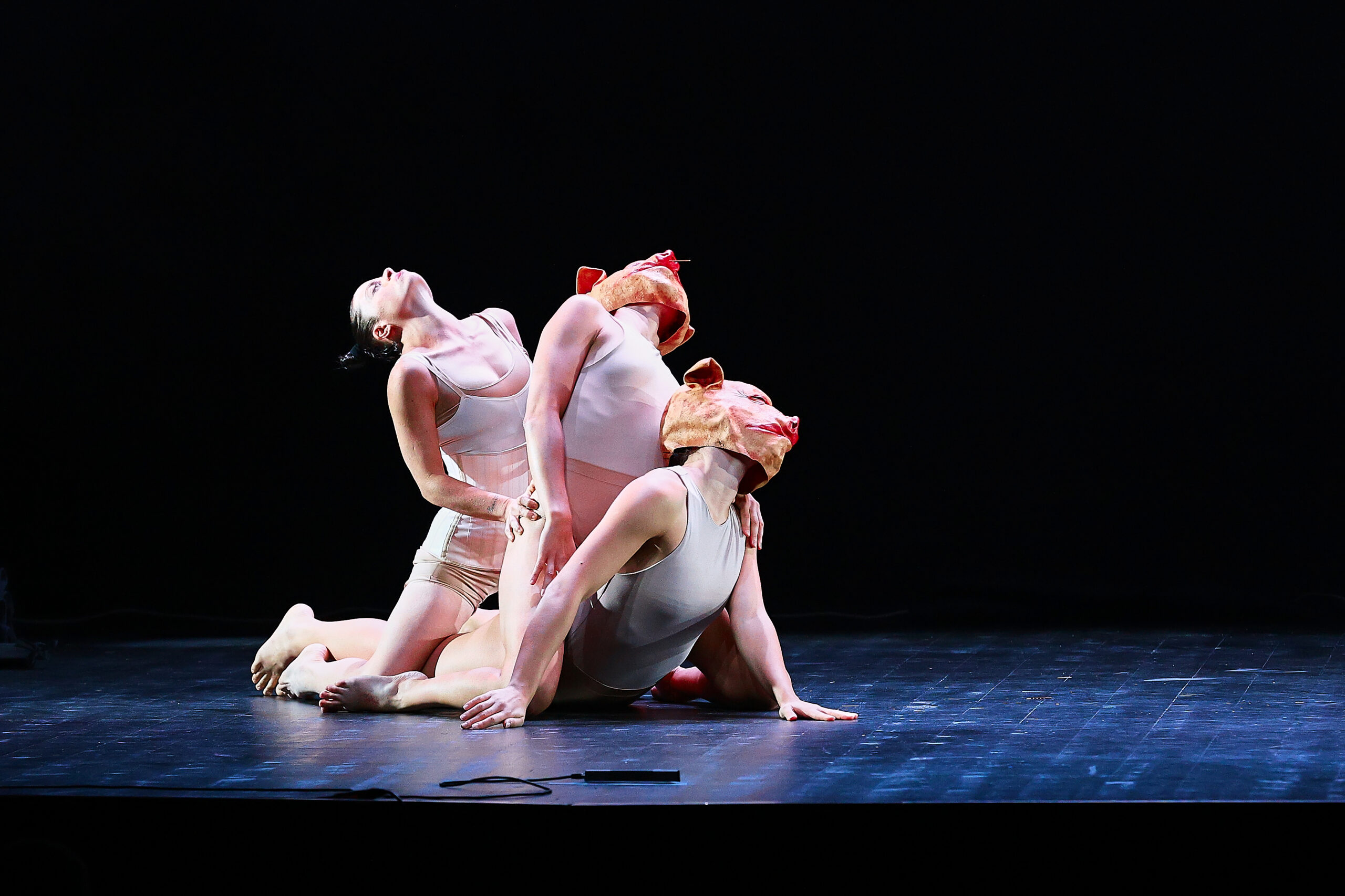 O7.O4.2O27<br>Compagnia<br>VIBRO D’AMORE<br>